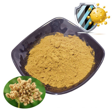 Herbal Extract Cnidium Monnieri Root Extract Powder Osthole 50% in Bulk